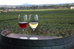 Els vins de qualitat de les Balears recuperen el ritme de comercialització previ a la pandèmia amb un augment del 36%