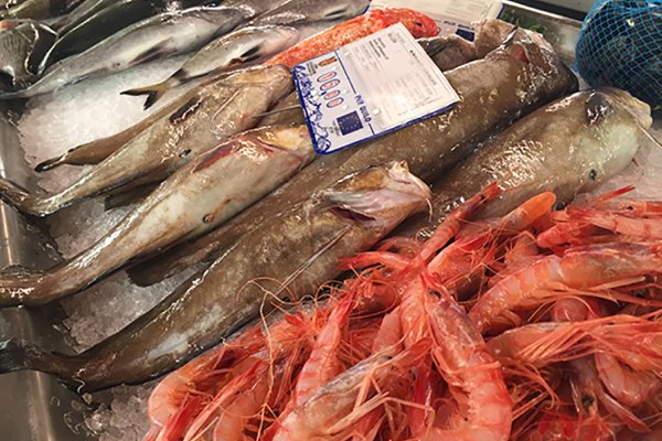 Darrer cap de setmana de les Jornades del Peix a Menorca