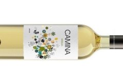 Camina Verdejo 2017