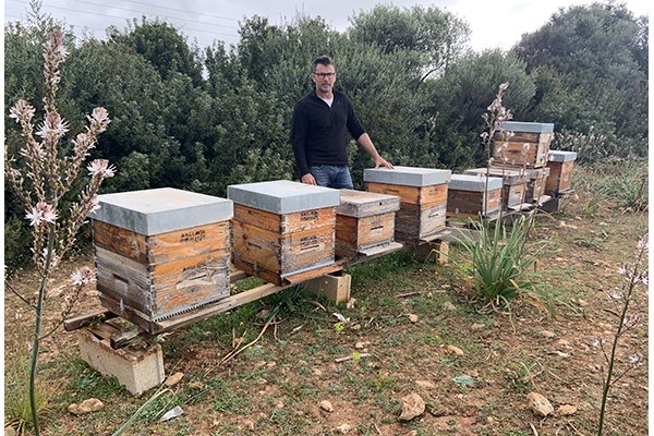 Dolçamar, la mel amb més premi de Menorca