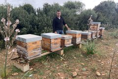 Dolçamar, la mel amb més premi de Menorca