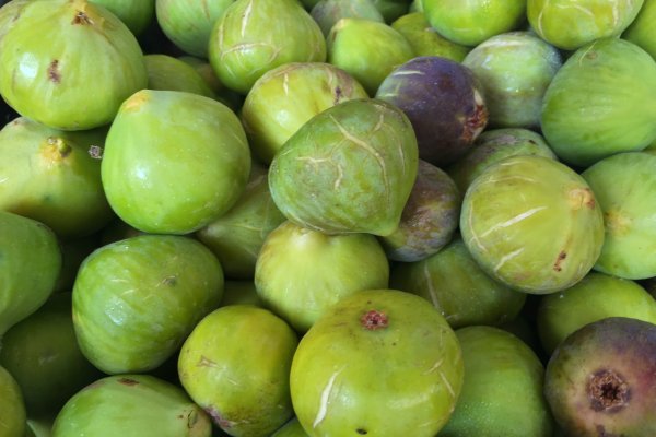 Temps de figues