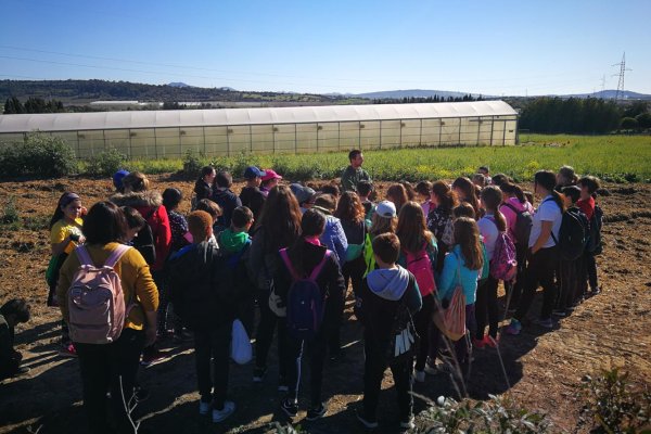 Sobirania Alimentària posa en marxa el programa de promoció i divulgació dels productes locals a les escoles