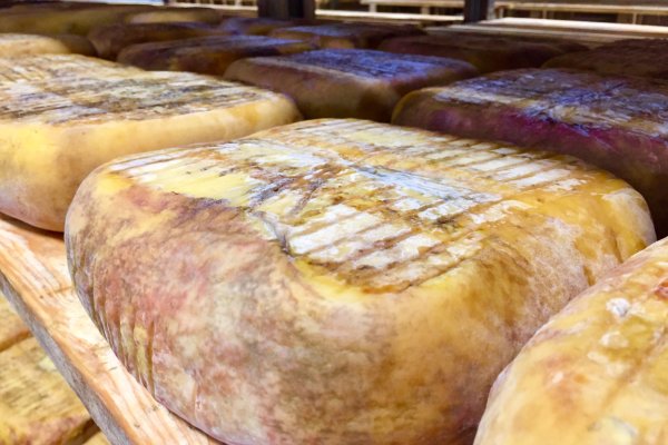 Els industrials formatgers sol·liciten la seva inclusió en la marca Menorca Reserva de Biosfera