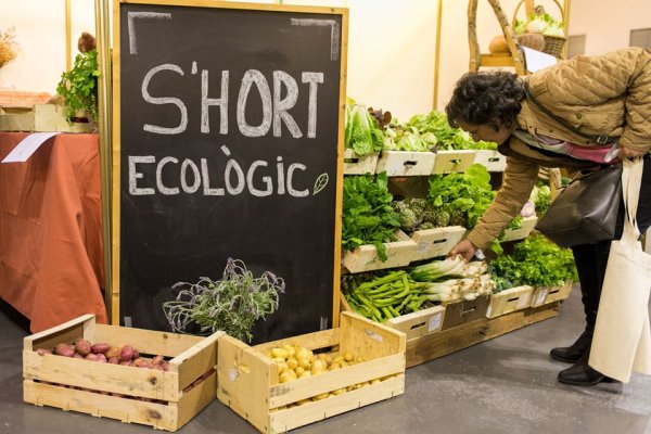 Productes ecològics a la Fira Arrels 2020