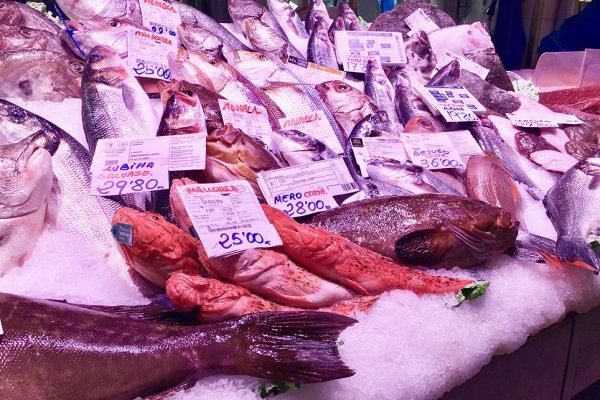 Els mercats municipals reflecteixen millor les fluctuacions dels preus d’origen del peix que les grans superfícies