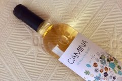 Camina Sauvignon Blanc 2018 Elaborat a la Societat Cooperativa Cristo de la Vega, de la DO La Mancha