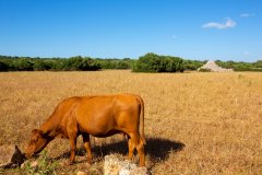 La vaca que riu