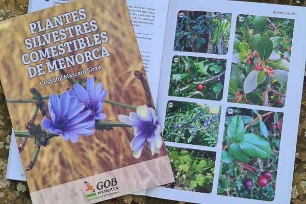 Reeditat el llibre sobre plantes silvestres comestibles de Menorca