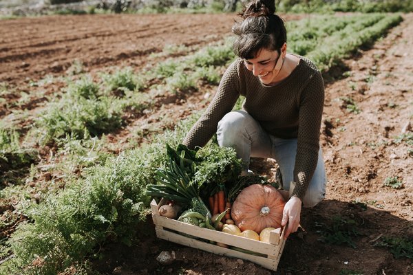 Entra en vigor del preu públic per sol·licitar la marca Menorca Reserva de Biosfera