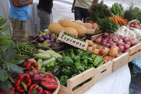 L’agricultura ecològica a Menorca puja en nombre d’operadors i baixa en superfície dedicada