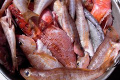 La pesca il·legal: un problema massa present a Balears