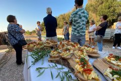 Èxit de participació al programa de visites als llocs des Castell