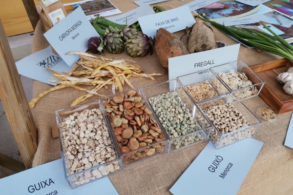 Nova seu del banc de llavors de varietats locals de Menorca