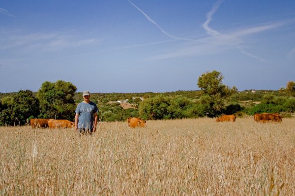 El Gob organitza una excursión a Biniguarda amb el bosc i la vaca vermella com a protagonistes