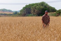 Dissabte 4 de març, excursió a s’Alblagai organitzada pel GOB-Menorca