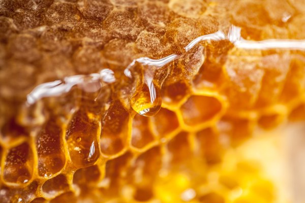 La mel d’Eivissa ja es podrà comercialitzar aquesta primavera amb el distintiu de la DOP ‘Mel d’Eivissa/Miel de Ibiza’