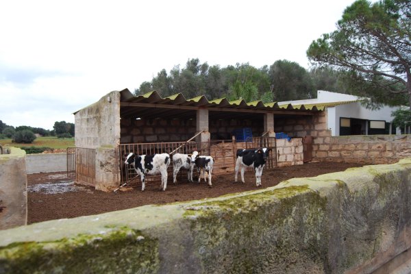 Afectarà el canvi climàtic al producte local de temporada?