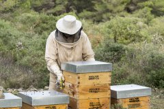 Dolçamar sigue subiendo escalones en el mundo de la miel y su miel de trebol es la mejor de España