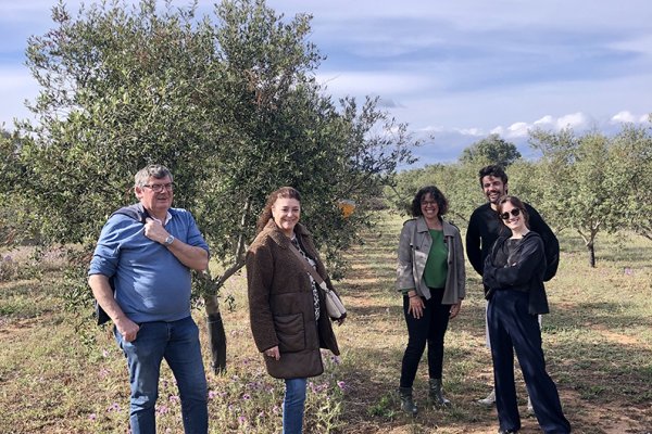 Periodistes belgues visitant un olivar