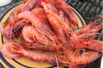 La gamba vermella de Ciutadella