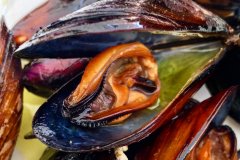 Mussels from the port of Maó