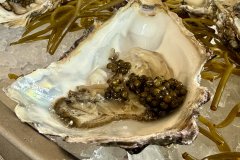 Las ostras con caviar del Café Balear