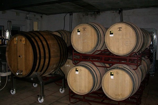 Bodegas Menorquinas, Ferrer de Muntpalau, the origin of modern viticulture