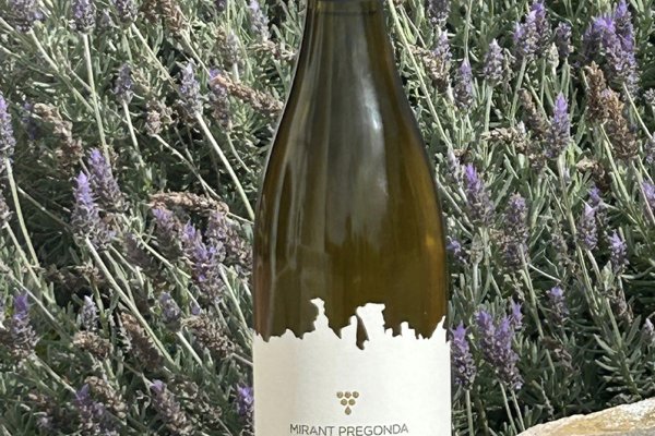 Morvedra, heroic viticulture