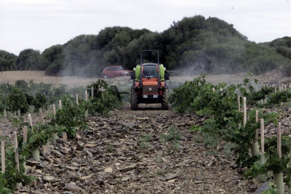 Sa Cudia, the second life of the countryside