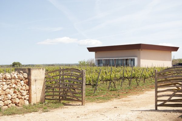 Binitord, a 100% Menorcan winery with a family spirit and international recognition