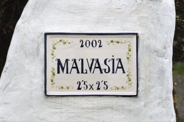 Sa Cudia, giving the countryside a second life through Malvasia