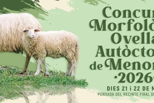 Menorca celebrates the flavor of its territory with a weekend dedicated to native sheep and local cuisine