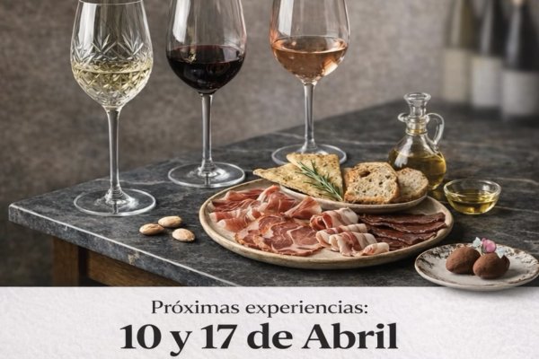Exclusive wine pairing tasting at “El Paladar” with premium wines and tapas