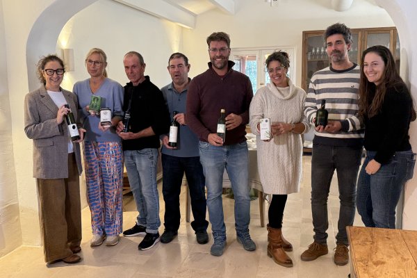 Menorca joins the debate on the future of olive growing and the marketing of Balearic olive oil
